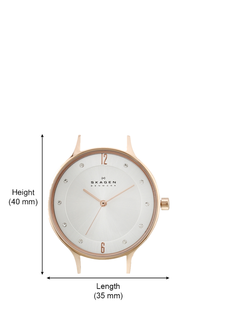 Skagen anita golden analog Watch